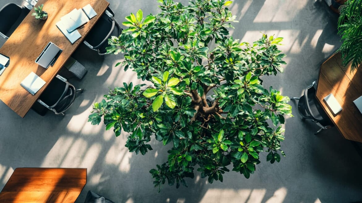 スモールビジネスの組織戦略：小規模企業の成長を表現する組織図と協力するチーム